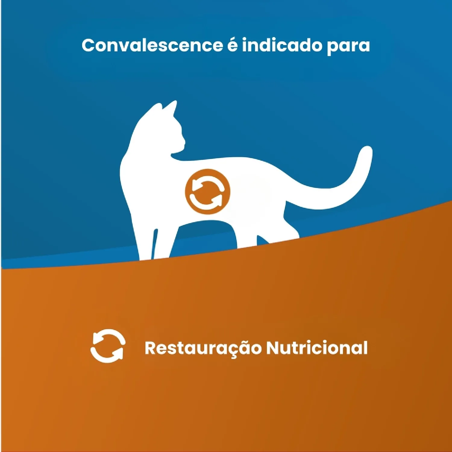 Racao Umida Para Gato Convalescenca Vet Life 2